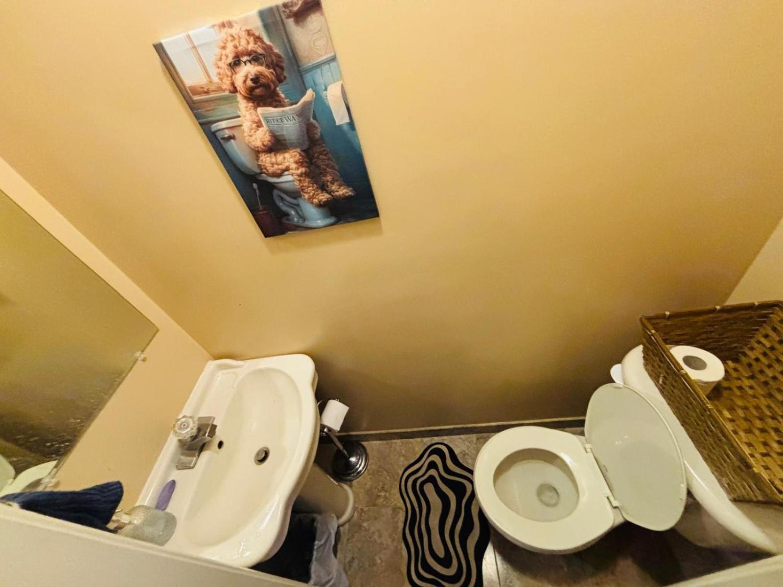 Homestay With Private Patio Next To Toronto Airport