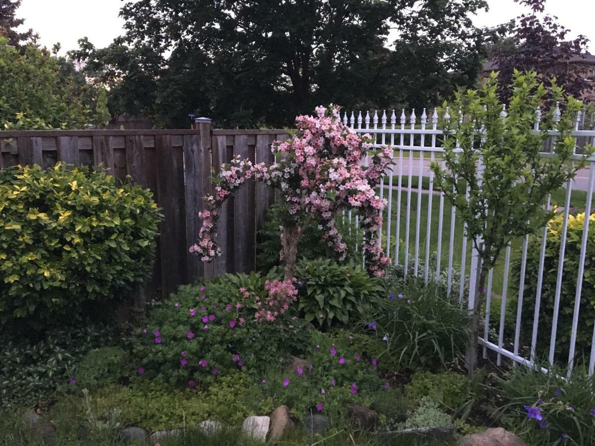 Guest house Cozy Rooms Near Toronto Airport For Vaccinated Travellers Mississauga